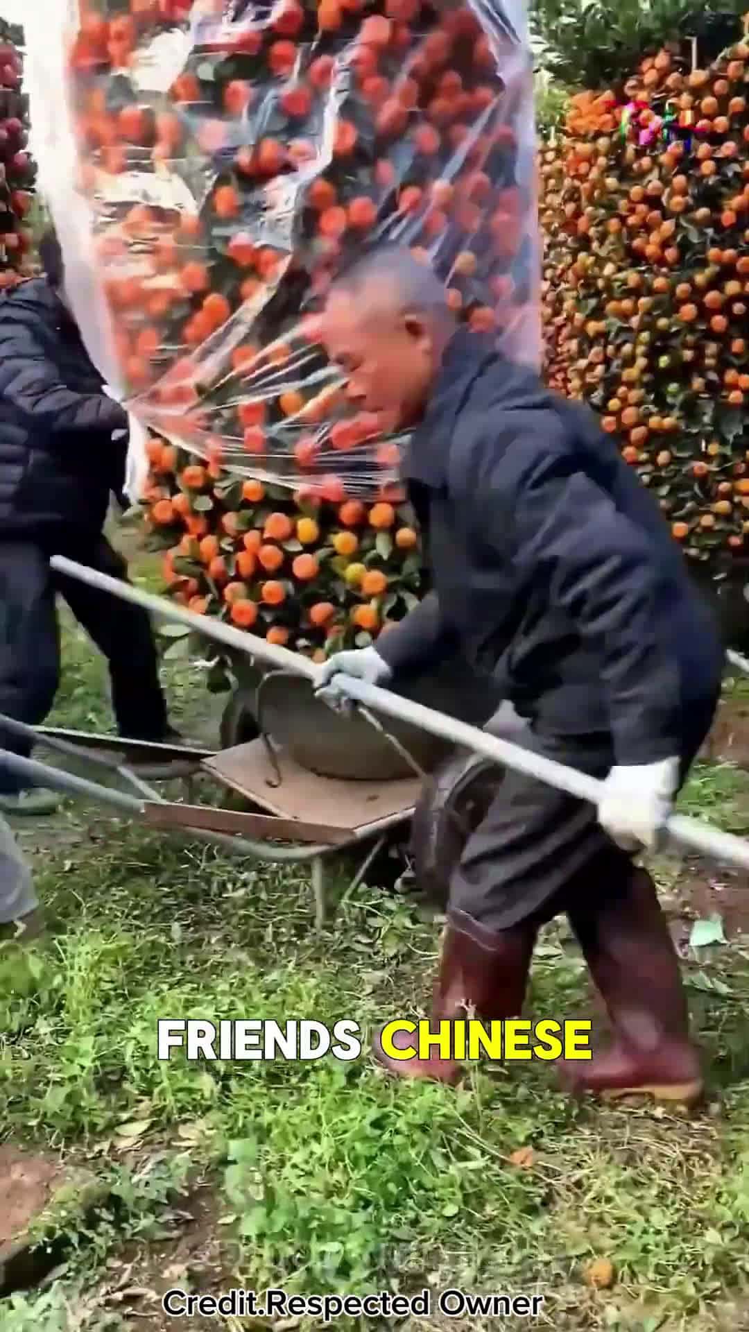 Cover for Chinese Scientists Shocking Food Creationsshorts