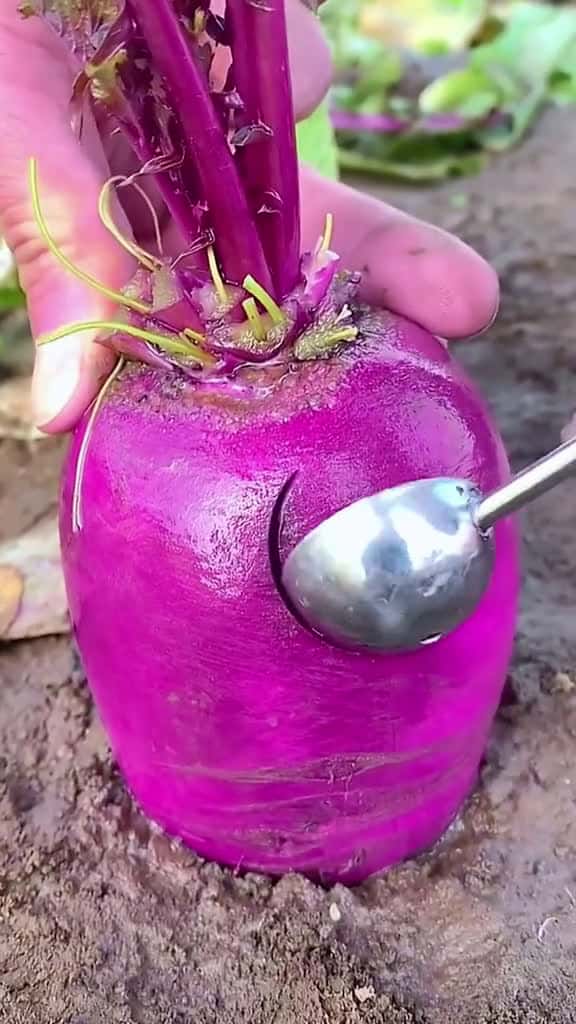 Cover for OMG !! Beetroot #asmr #fyp #fyp #fruit #beetroot #usa