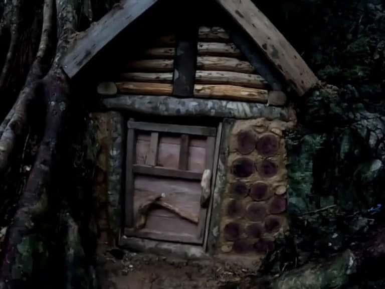 Cover for Build a tree hole shelter to survive overnight. wildbuilding 58958 #followMe