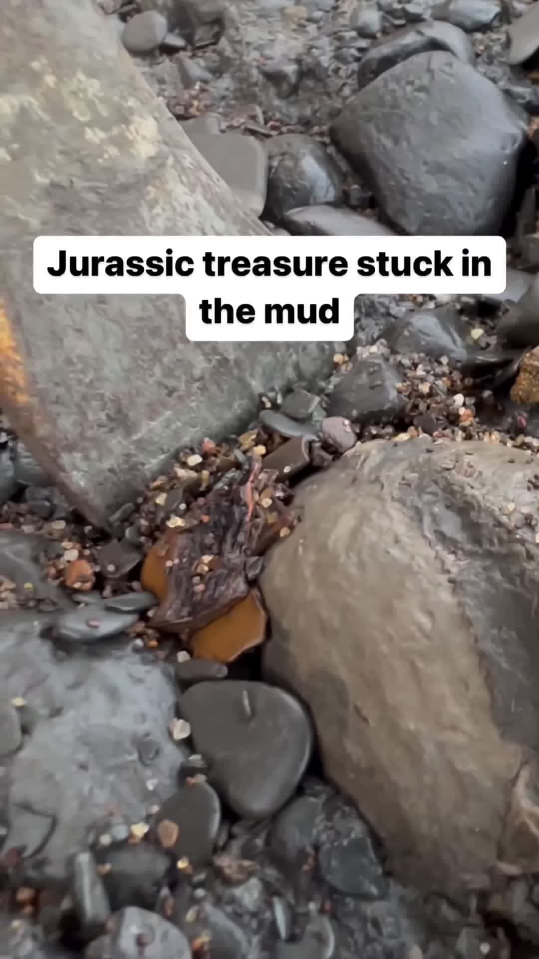 Cover for Finding TREASURE In Mudslides