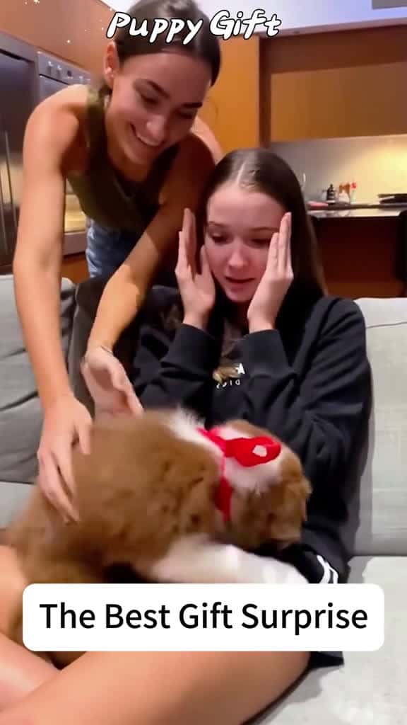 Cover for Best Puppy Gifts Emotional Surprises dogsoftiktok doglovers cat kitten catsoftiktok puppy 84526 #ilovescoopz