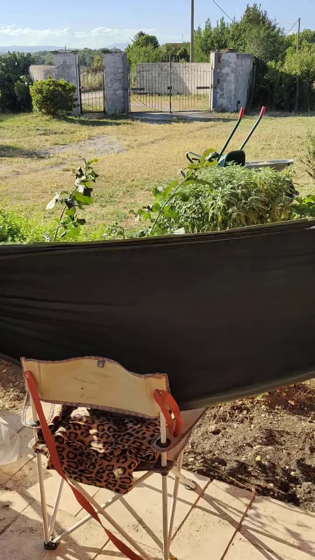 Cover for #FirstVideoChallenge Cat Sleeps in Hammock.