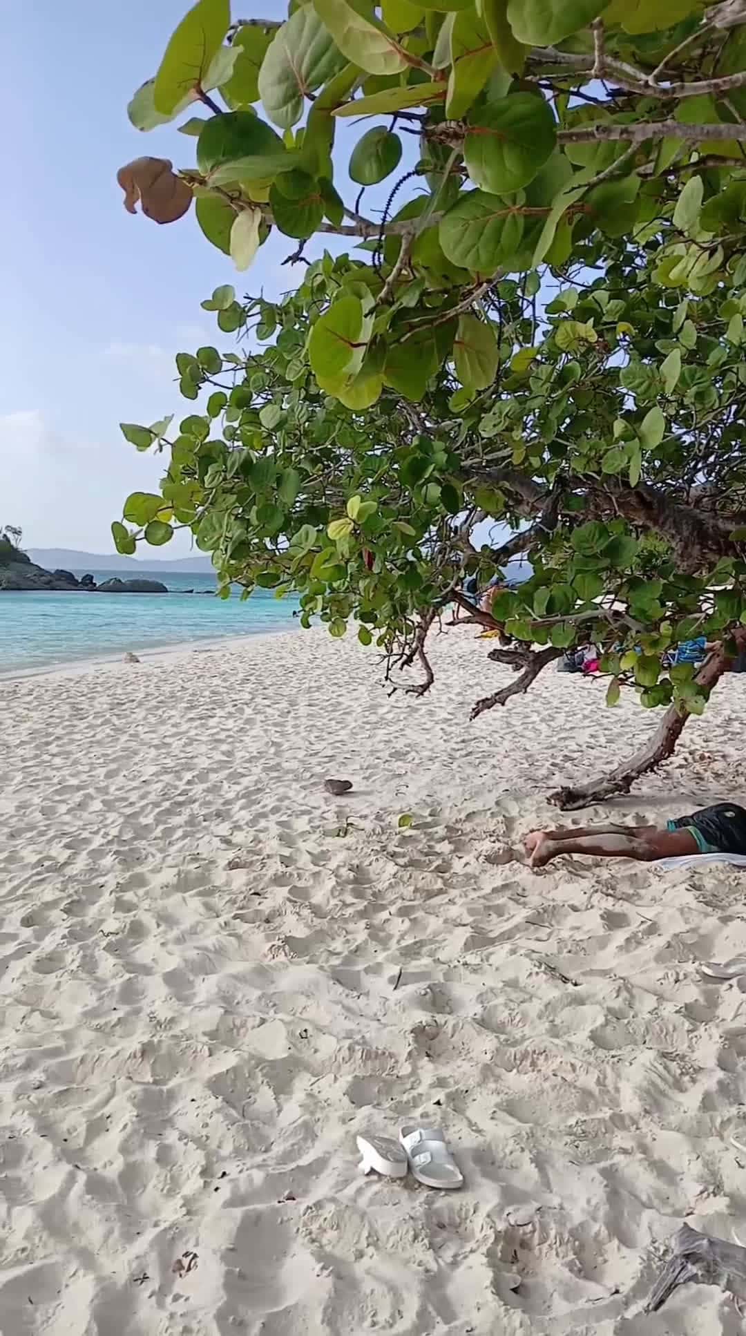 Cover for     st. john#caughtoncamera  #summer  #viral  #beautiful  #follow  #god  #islandgirl 