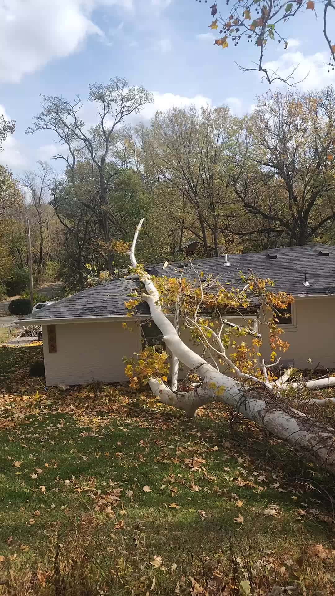 Cover for Tree On Home!! Emergency tree removal by Family Tree Service. #familytreeservice #treeremoval #kansascity