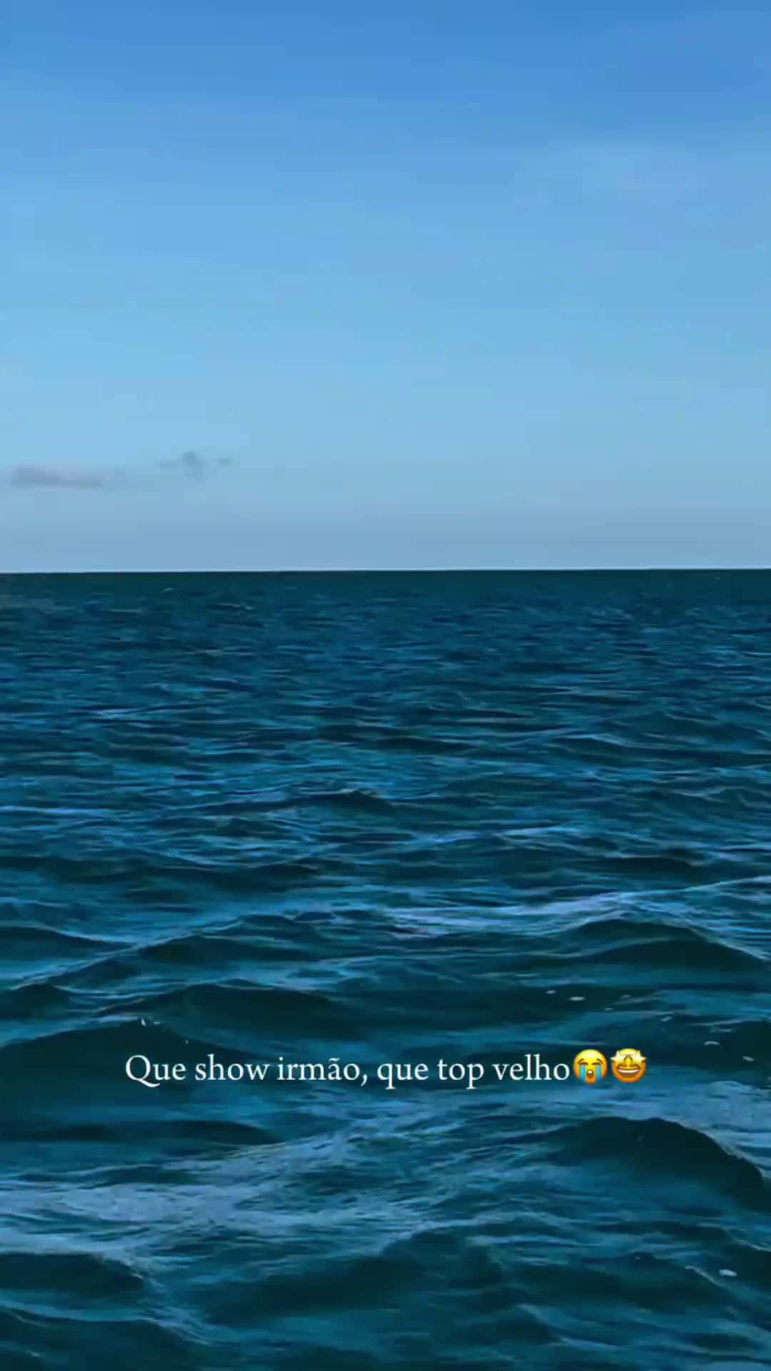 Cover for Blue whale 🐳  #ocean  #caughtoncamera #FirstVideoChallenge