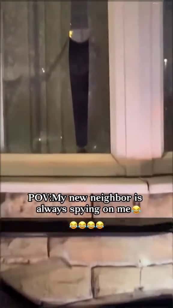 Cover for My neighbors cat is always spying on me pet cat funnypets funnycat catlovers cute 62379 #nicevideo