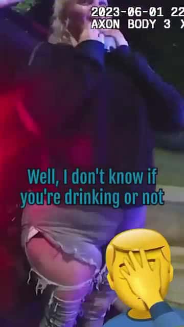Cover for Mom Arrested For Being Intoxicated And D