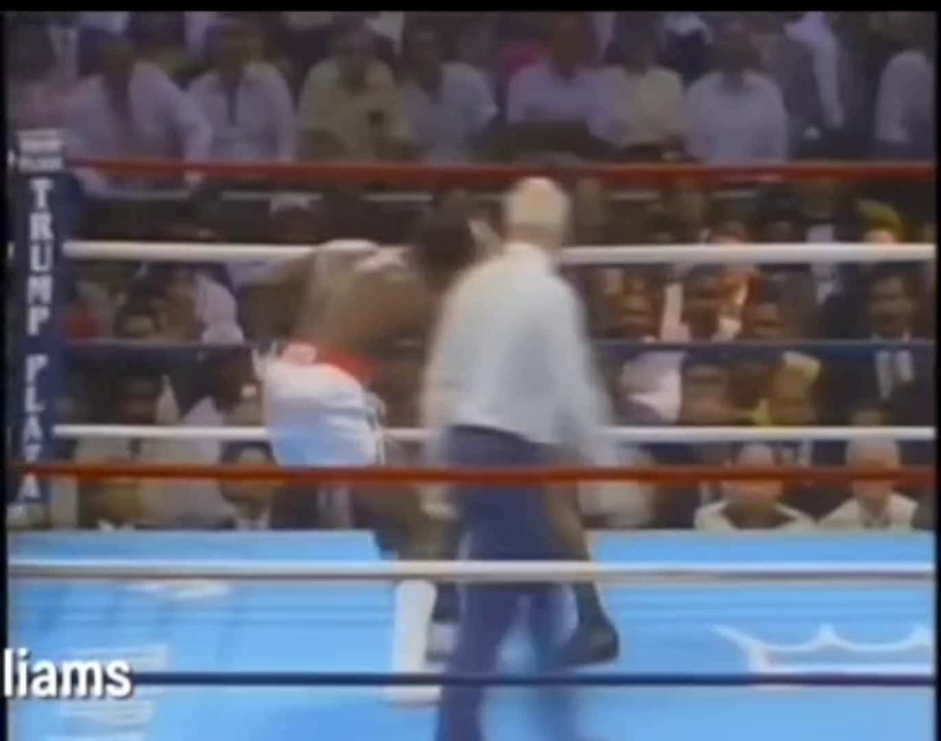 Cover for #miketyson #ko #fight #boxing 