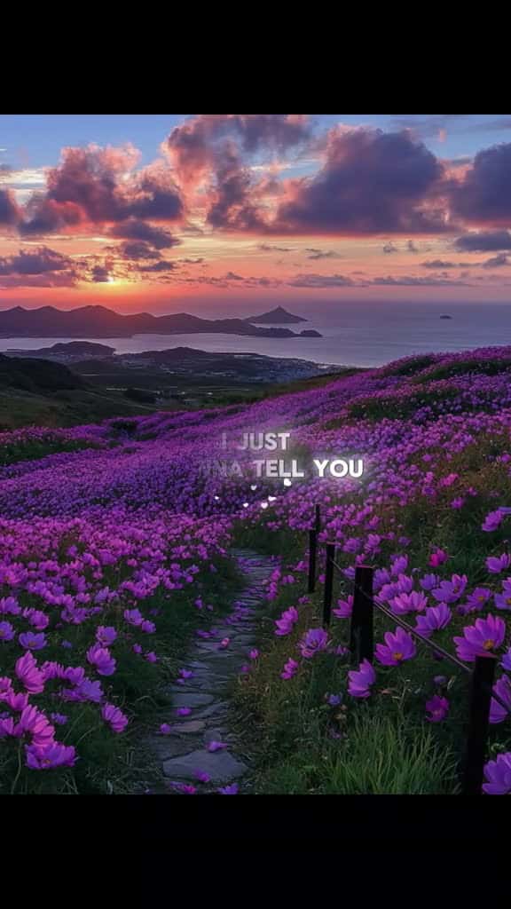 Cover for lovequote lovequotes quoteslove 13678 #us