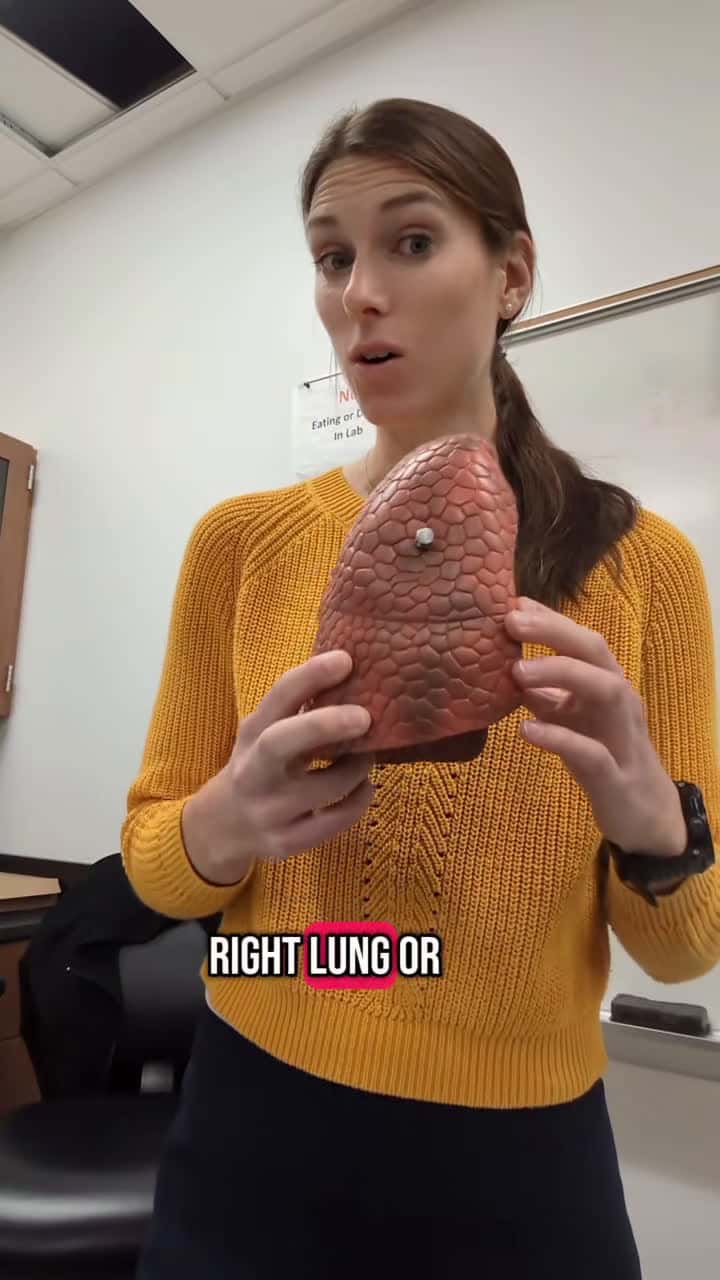 Cover for #anatomy #anatomyandphysiology #anatomyandphysiologyhelp #students #learning #teacherlife #stemlife #memoryunlocked #memoryhacks #studytips #lungs #srudymotivation