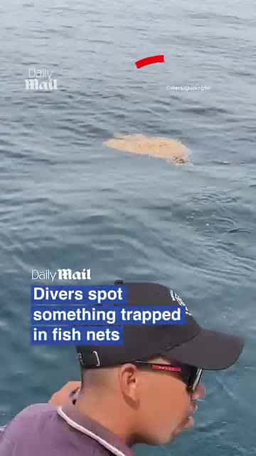 Cover for Driver spots something trapped in fish net#CaughtOnCamera