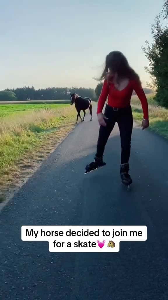 Cover for This felt so freeing  Freedom - Jordan Rakei freedom horsesoftiktok equestrianlif 57345 #ilovescoopz