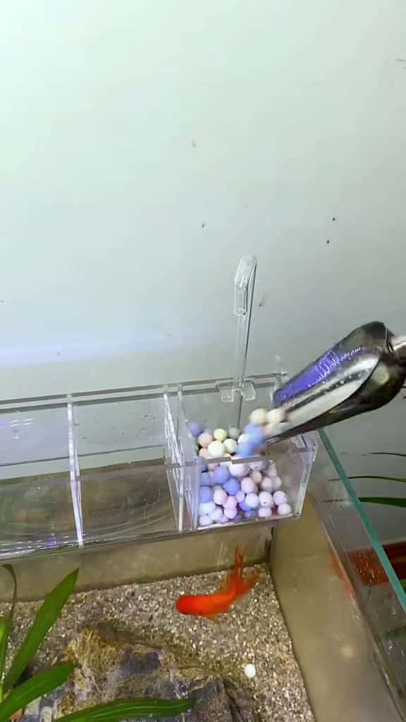 Cover for Transform your fish tank with acrylic filters: lightweight, durable, and cost-effective! 🐠💧 #AquariumTips #FishTankMagic