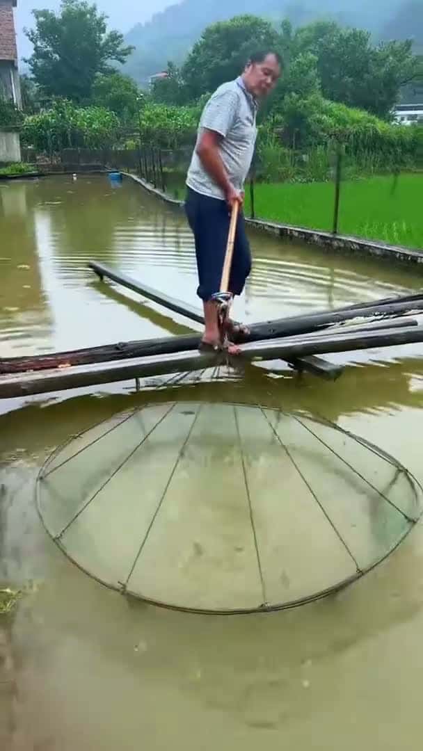 Cover for Fishing net | Catch fish. | Outdoor fishing Jun 10 #fishing #shortsviral #trending #explore #explorepage #viral #fyp 