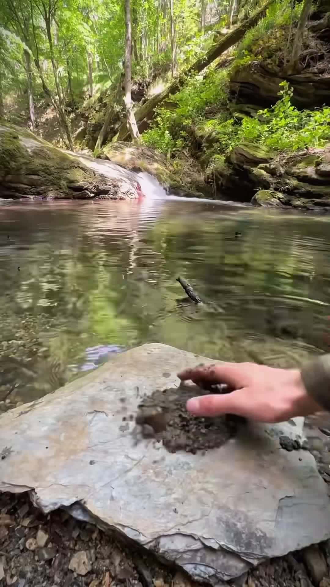 Cover for Cooking beef steak between pita bread , in nature 🥩🪵💦🐿 #cookingasmr #...