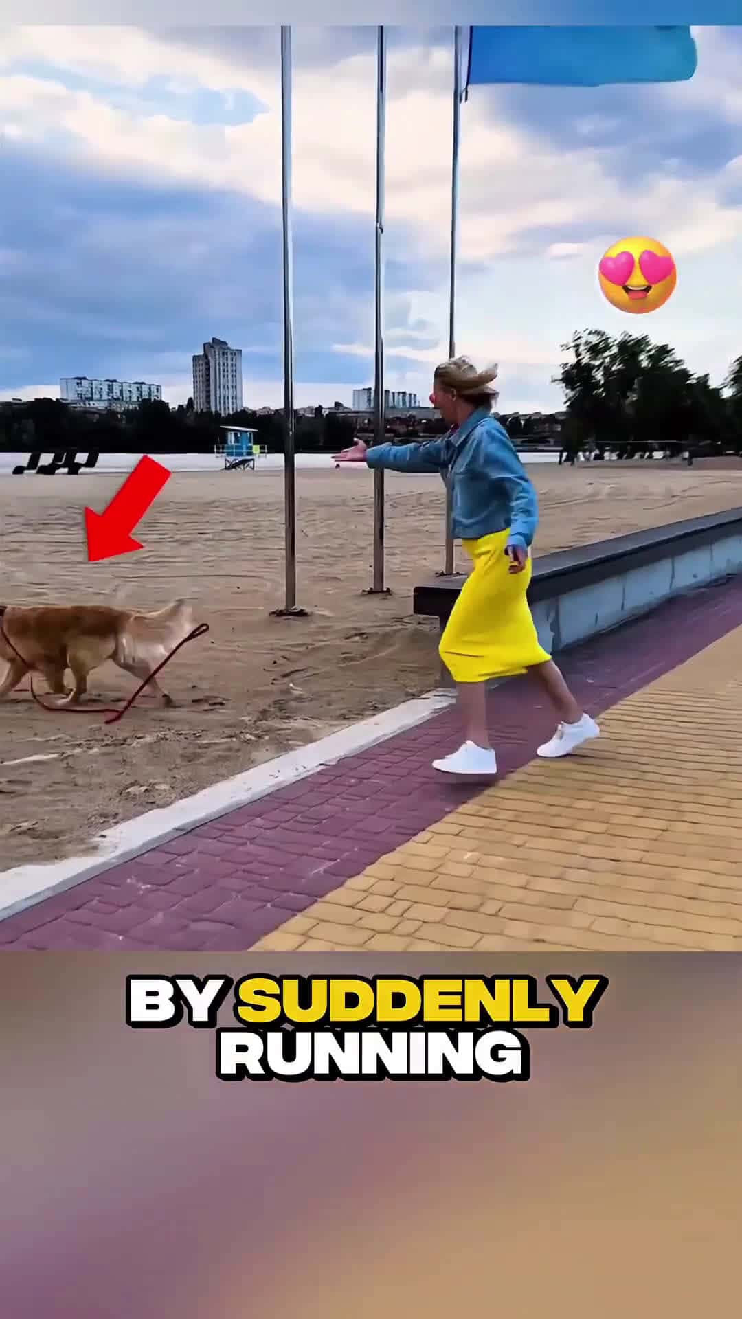 Cover for Dog Runs to Beach and Uncovers Hidden Treasure While Man Watches in Shock! #scoopzanimalvideo 
