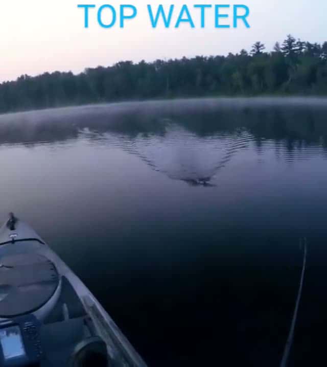 Cover for #fishing 