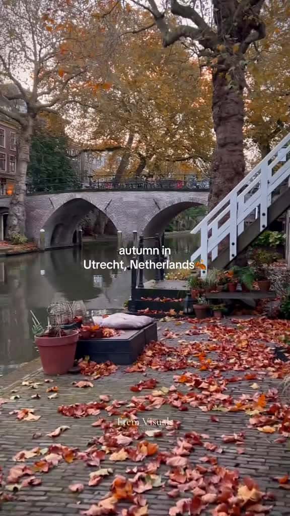 Cover for Utrecht fyp utrecht netherlands thenetherlands autumn autumnvibes utrechtcity net 28512 #trend