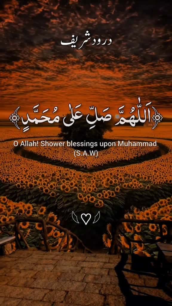Cover for         darood e pak islamicreminder quranrecitation quran kareem foryou foryou quranicquo 74975 #nicevideo