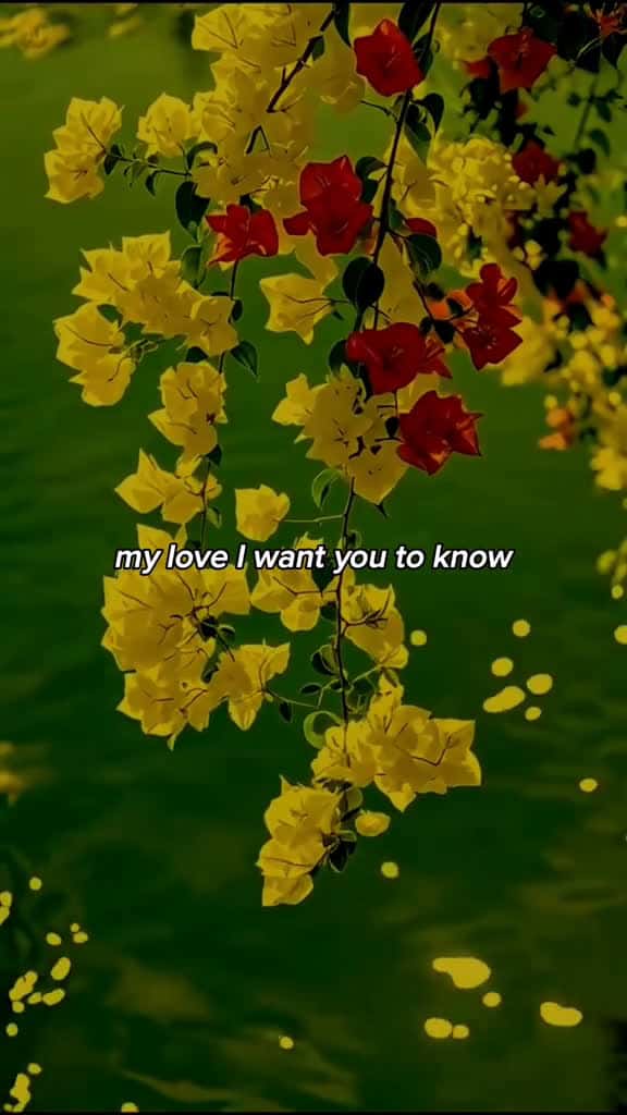 Cover for entrnallove mylove iloveyou fyp 39086 #shortvideosscoopz