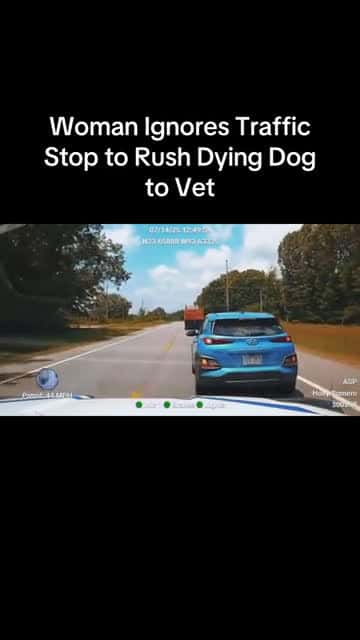 Cover for UPSETTING: Cop stops woman from driving her dying dog to the vet. #CaughtOnCamera #BodycamFootage #JusticeDebate #PoliceStop #ViralClip #EmotionalVideo #AnimalLovers #LetHerGo #HeartbreakingMoment #DogEmergency #WrongOrRight