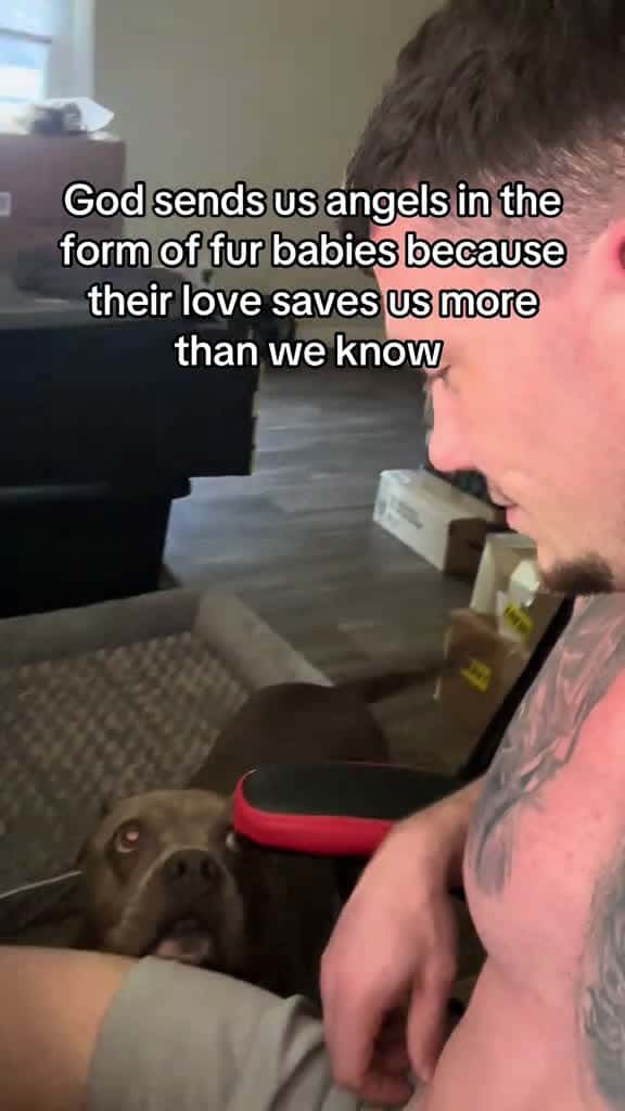 Cover for amen godlove bullysofttiktok dogfather 55438 #trending
