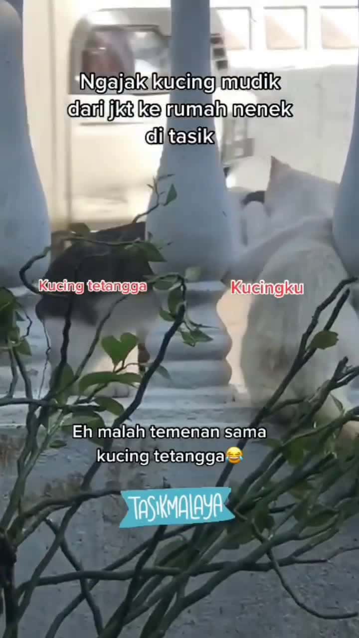 Cover for Cerita yang tersisa saat musim mudik kemarin Cr TT chingguyaa