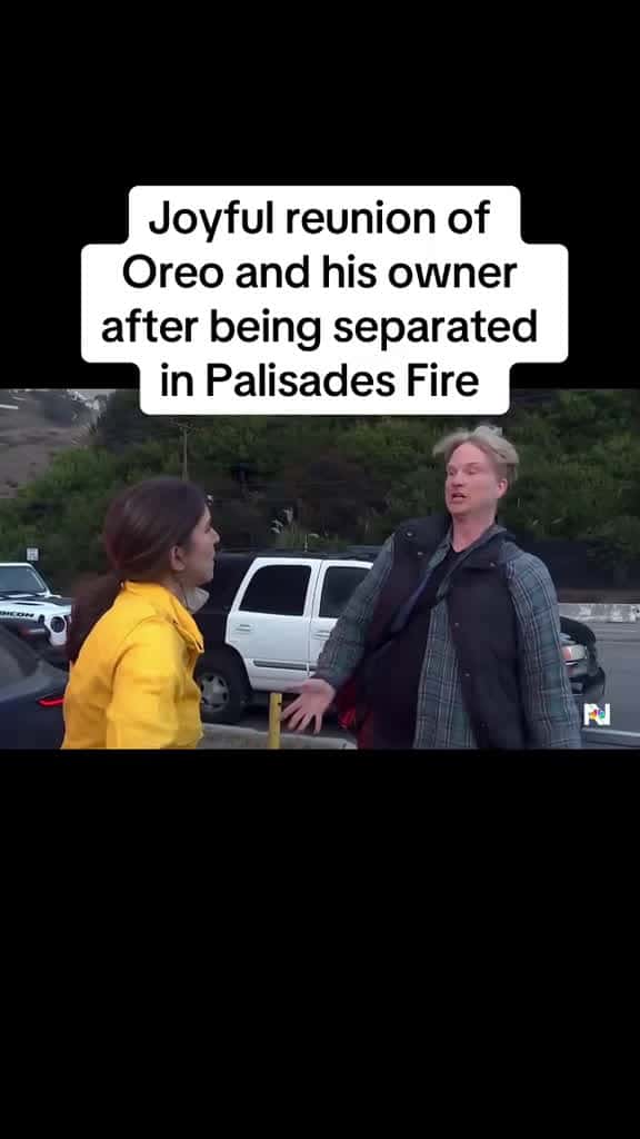 Cover for Casey Colvin lost his home in the PalisadesFire and he feared his beloved dog Ore 11502 #followMe
