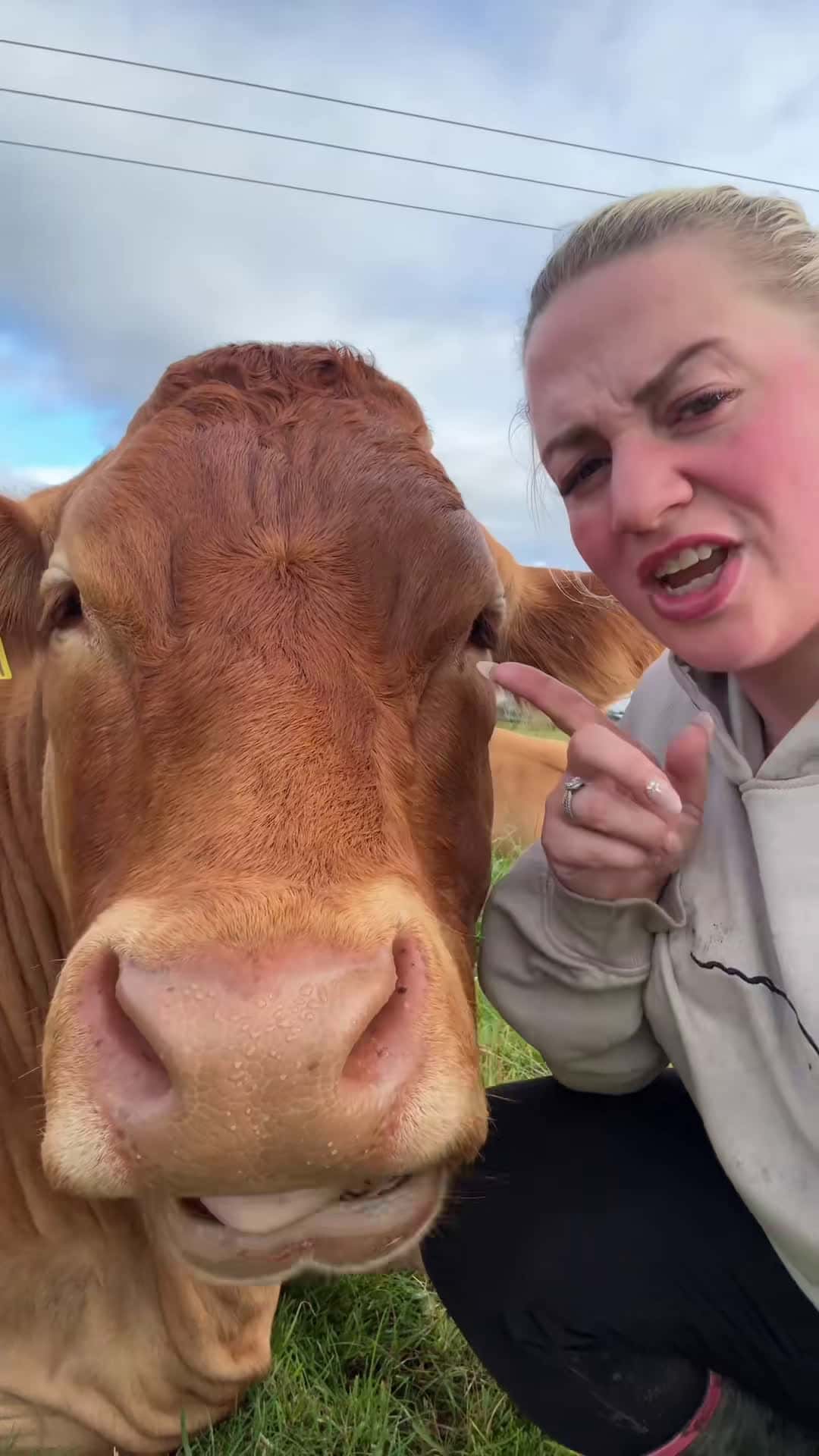 Cover for Just because she can’t have a calf anymore doesn’t mean she’s not imp...