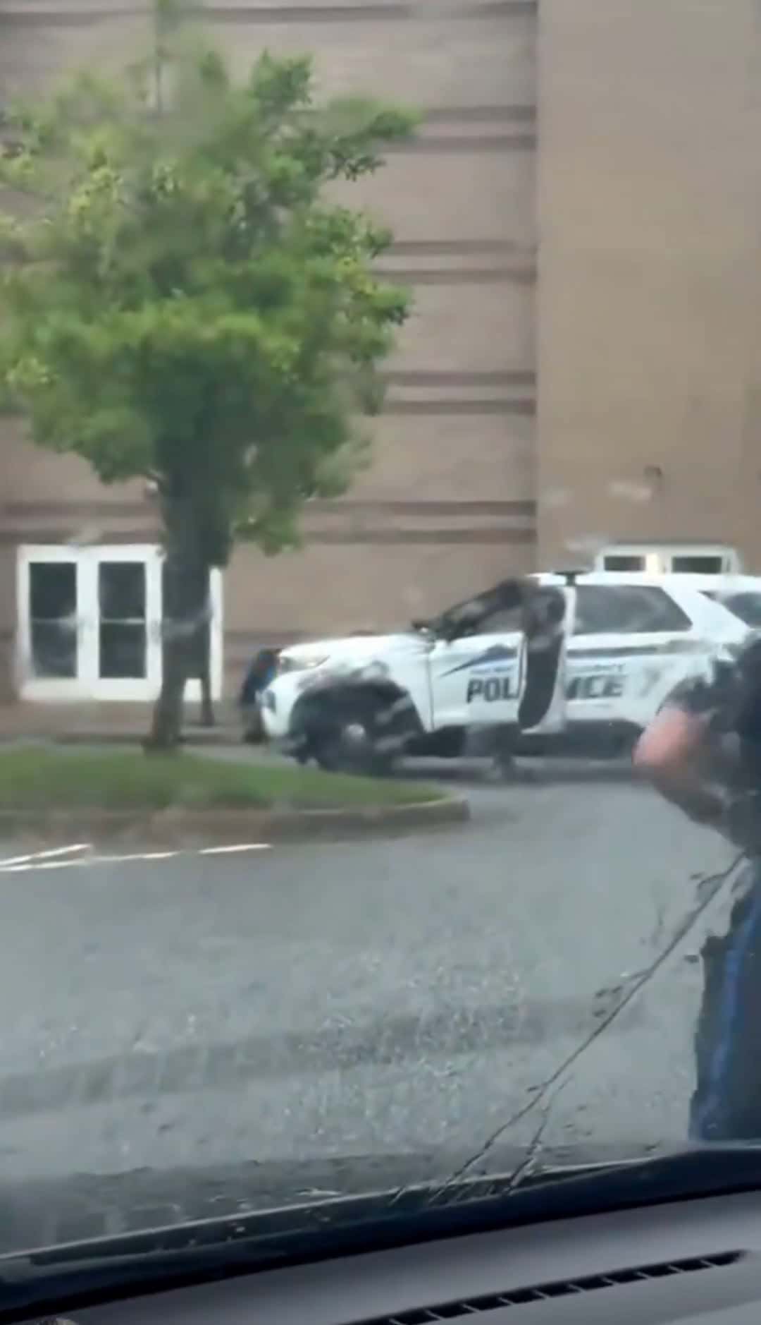 Cover for That moment when you try to steal a cop cruiser like it's GTA Online, but there's already a cop in there, and you end up getting bodyslammed, molliwopped and tazed for being a dumb dumb