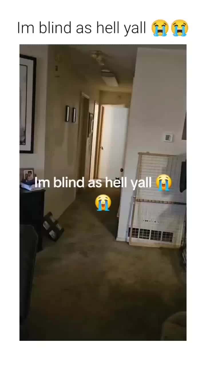 Cover for What did you see?😂 #fy #fyp #memes #viral #trend #trending #scoopz #animals