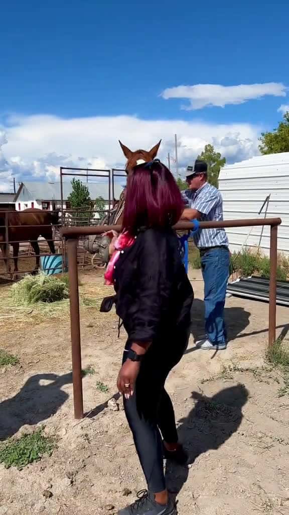 Cover for Horses can really sense your fear gentlegiants fyp viral 44398 #american