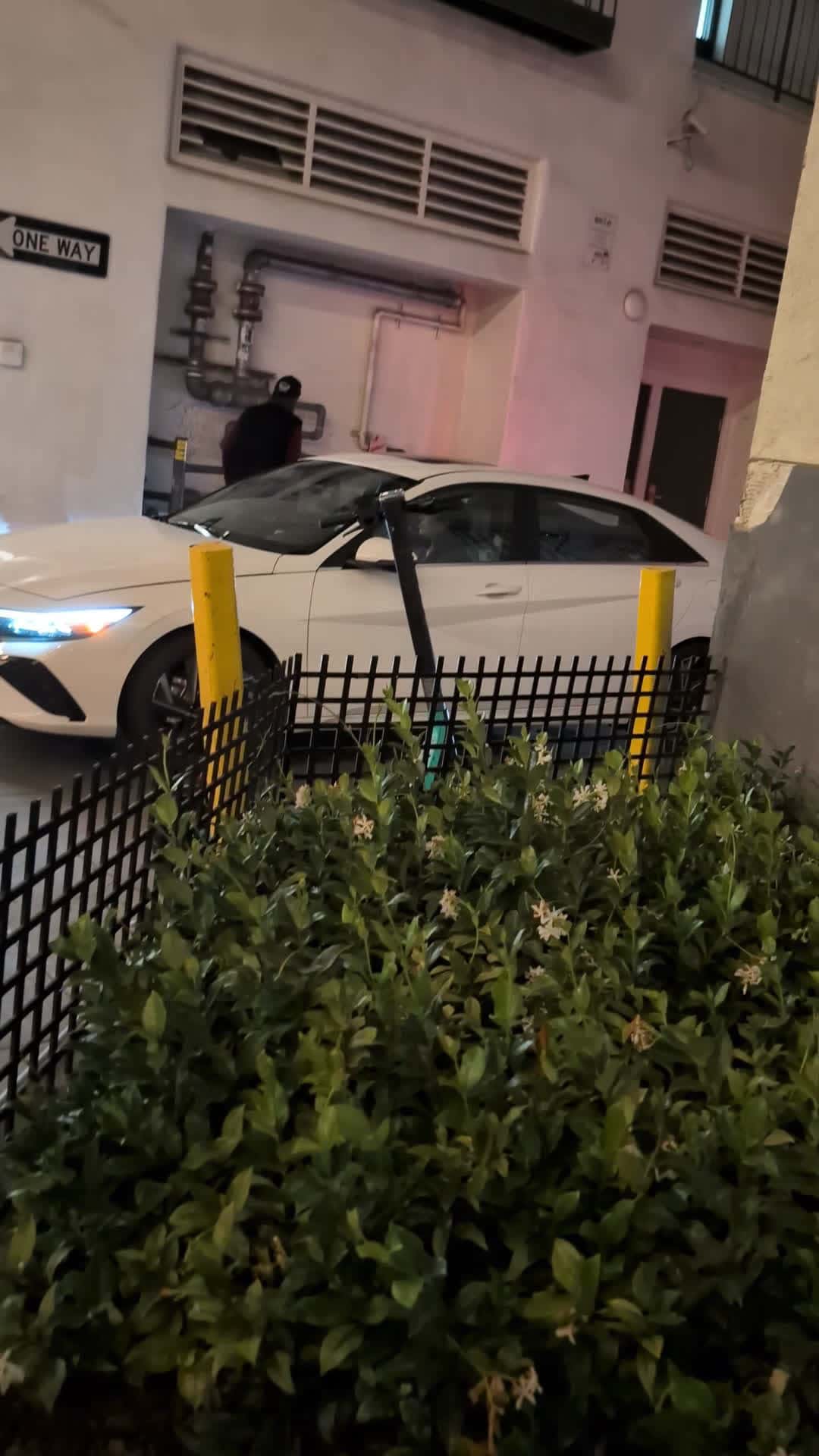Cover for crazy person on Santa Monica normal thing everyday 