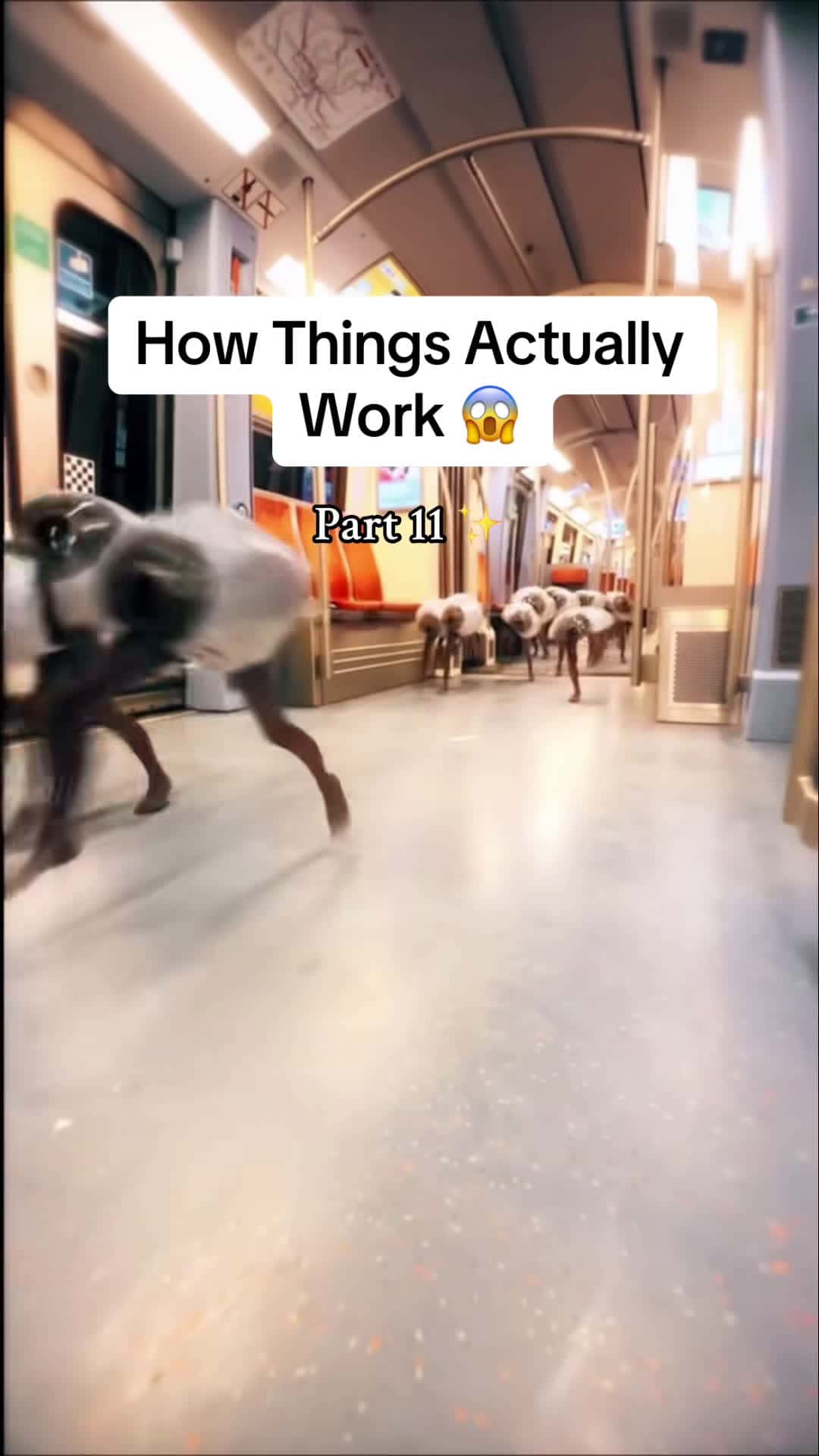 Cover for #UnpopularOpinion How Things Actually Work 😱