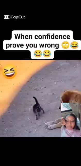 Cover for 😄 😄  so funny