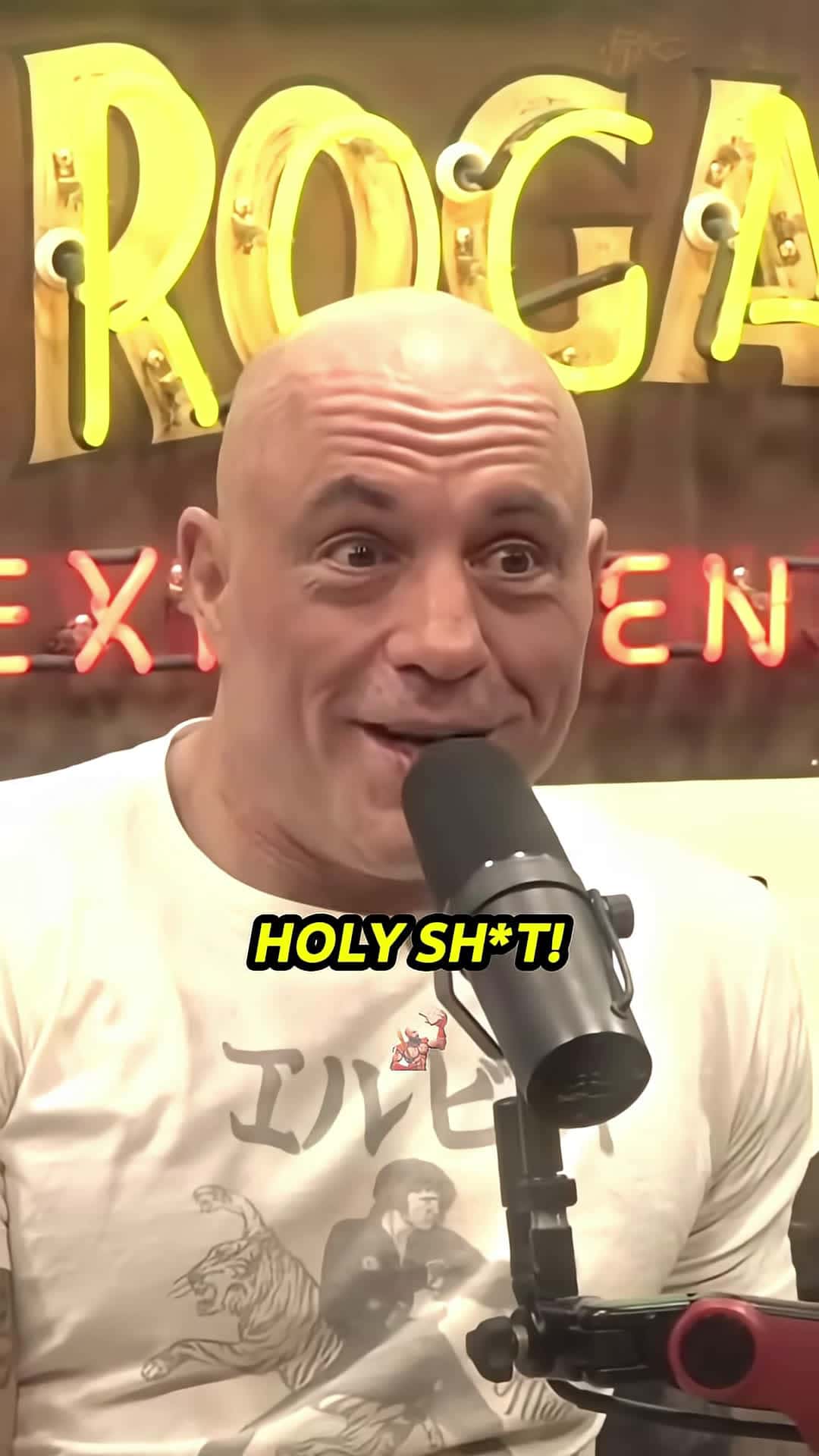 Cover for Joe Rogan Reacts to Woke Liberal Getting DESTROYED By a Host