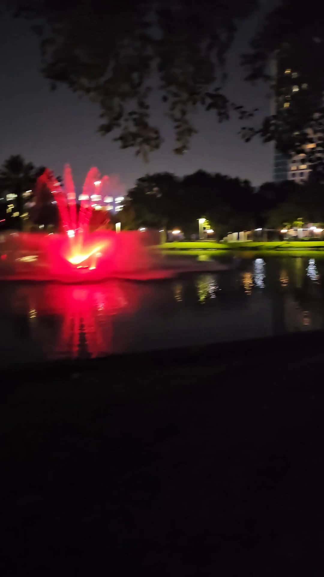 Cover for Early morning fountain therapy! RELAXING!  #fountain #relaxing  #therapy 