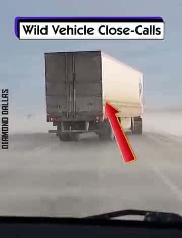 Cover for Wild Vehicle Close - Calls