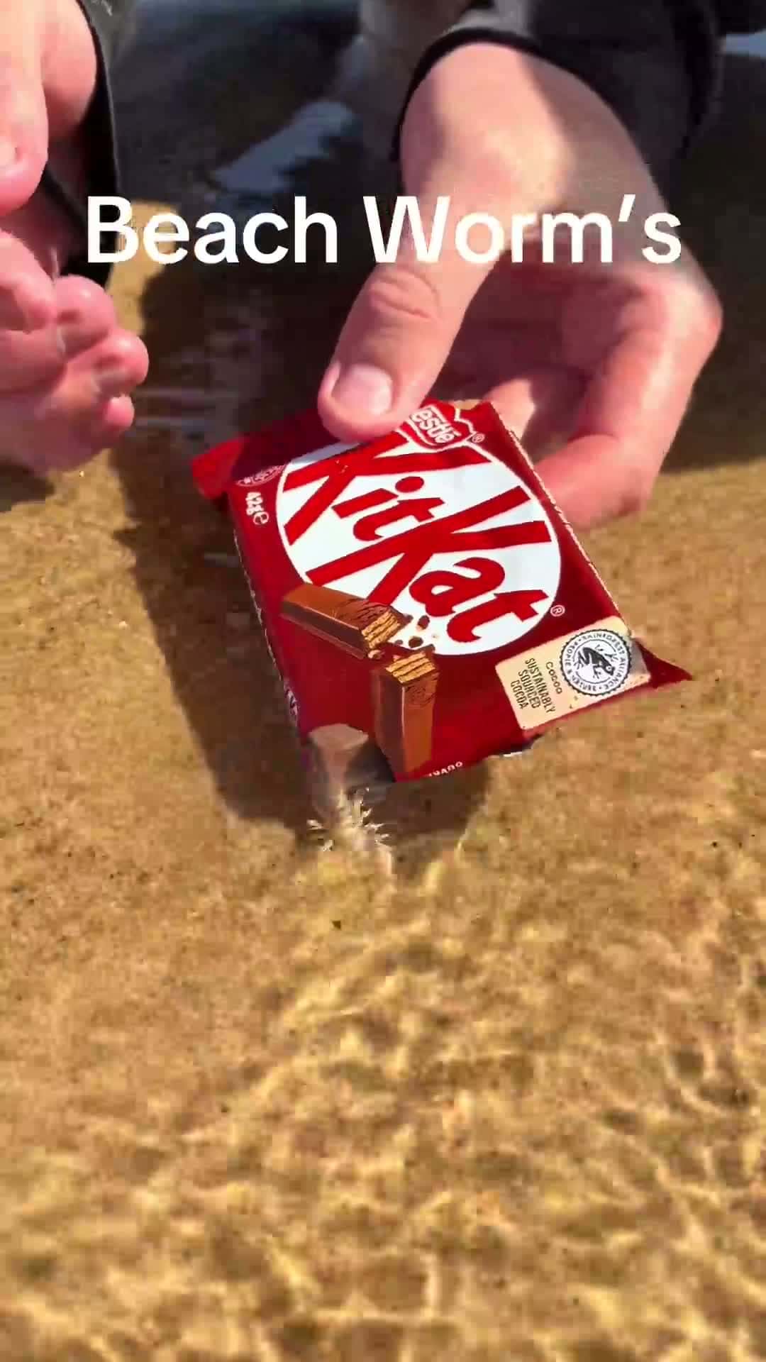 Cover for They love a Kitkat #foryou #foryoupage #kitkat #beach #fyp #explore #travel #fypシ゚ #fy #you 