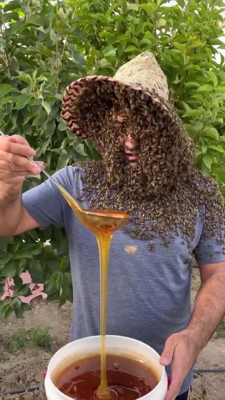 Cover for #CaughtOnCamera most daring honey harvest yet. 👀 #honey #trend #bees