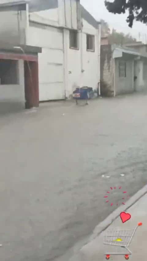 Cover for True love always finds its way back 😊🤭 #love  #fyp  #funny  #floods 