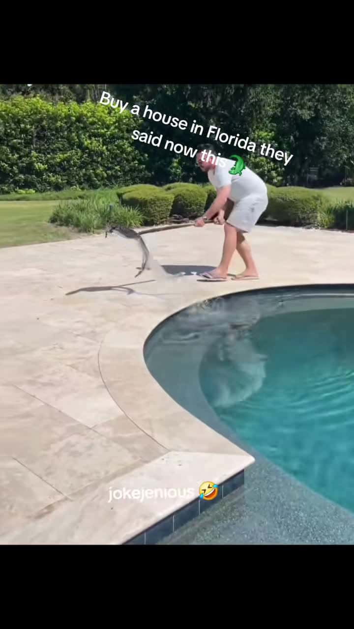 Cover for When you find a crocodile chilling in your pool! 😂 #Florida #OMG #funnyvideo 🐊
