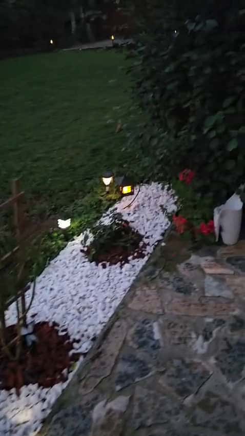 Cover for The evening lights! 