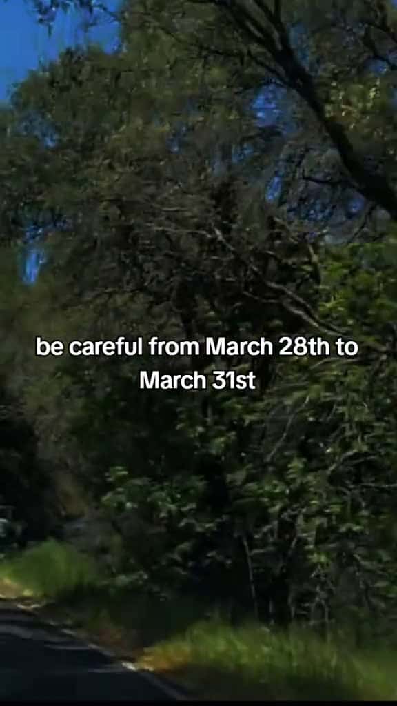Cover for  79786 #shortvideos