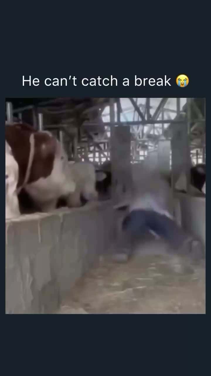 Cover for he can't catch a break