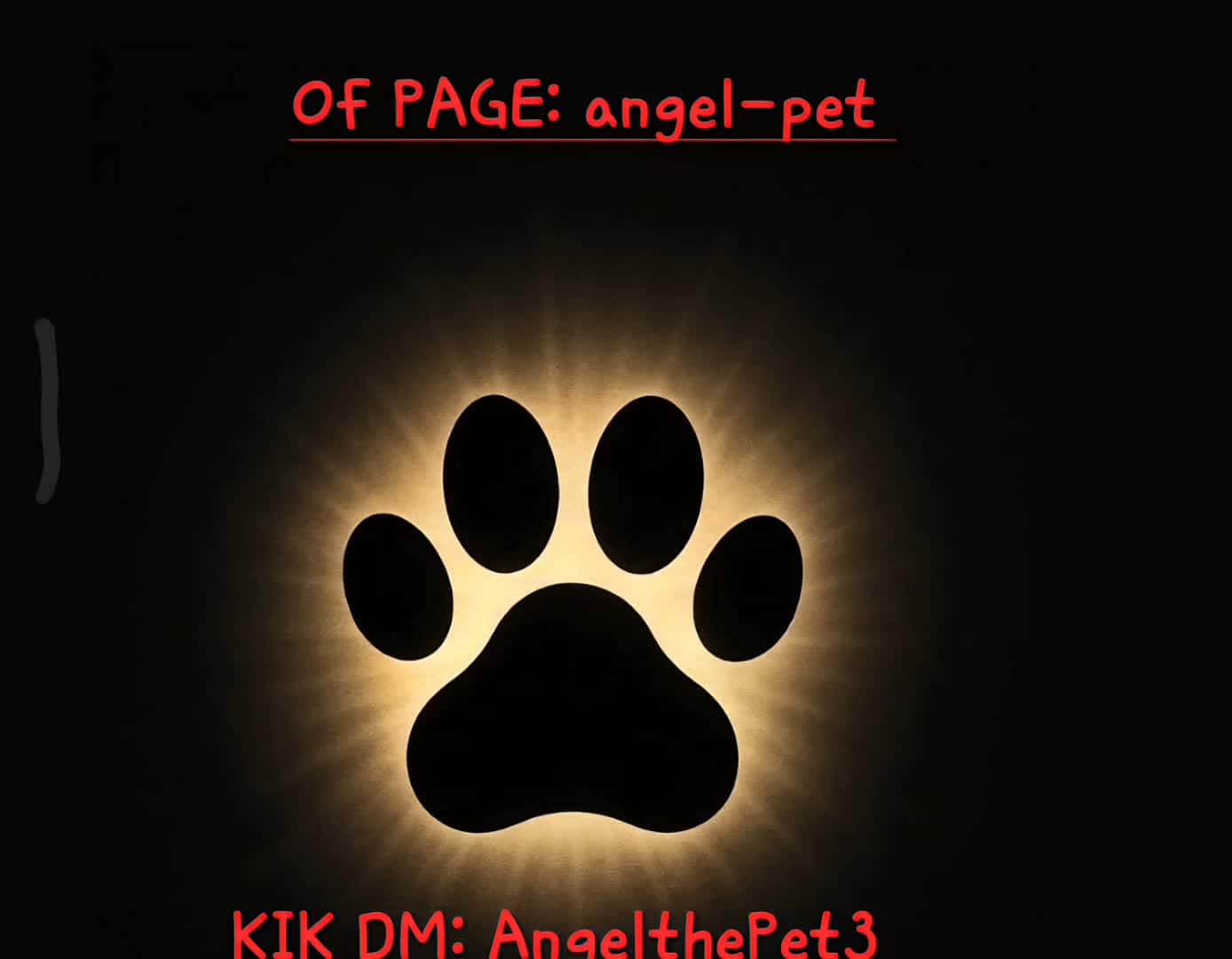 Cover for DON'T FORGET KIK LIVE THIS MONDAY A 9AM AND 1PM LOOK FOR MY NEW KIK AngelthePet3 ON KIK LIVE SECTION SEARCH ALSO SUBSCRIBE TO MY OF PAGE angel-pet AND GET ACCES TO MY PARTIES AND MANY MORE FUN STUFF