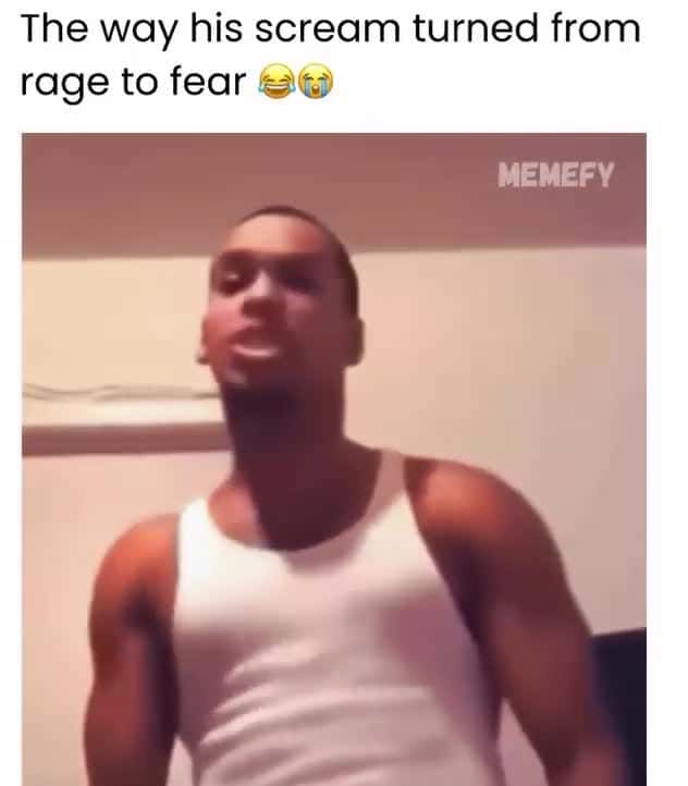 Cover for HIS SCREAM WENT FROM RAGE TO FEAR SO FAST😂😂😂🤣🤣🤣🤣 #wow #unexpected #comedy #explore #explorepage #fyp* #fyp #foryou #funny #foryoupage#instagram #instagood #meme #memes #reels #scoopz #shorts #trending #tiktok #usa #viral #viralvideo #video #viralvideos #lol #humor #funnymemes #comedy #funnyvideos #funny #entertainment #fypシ