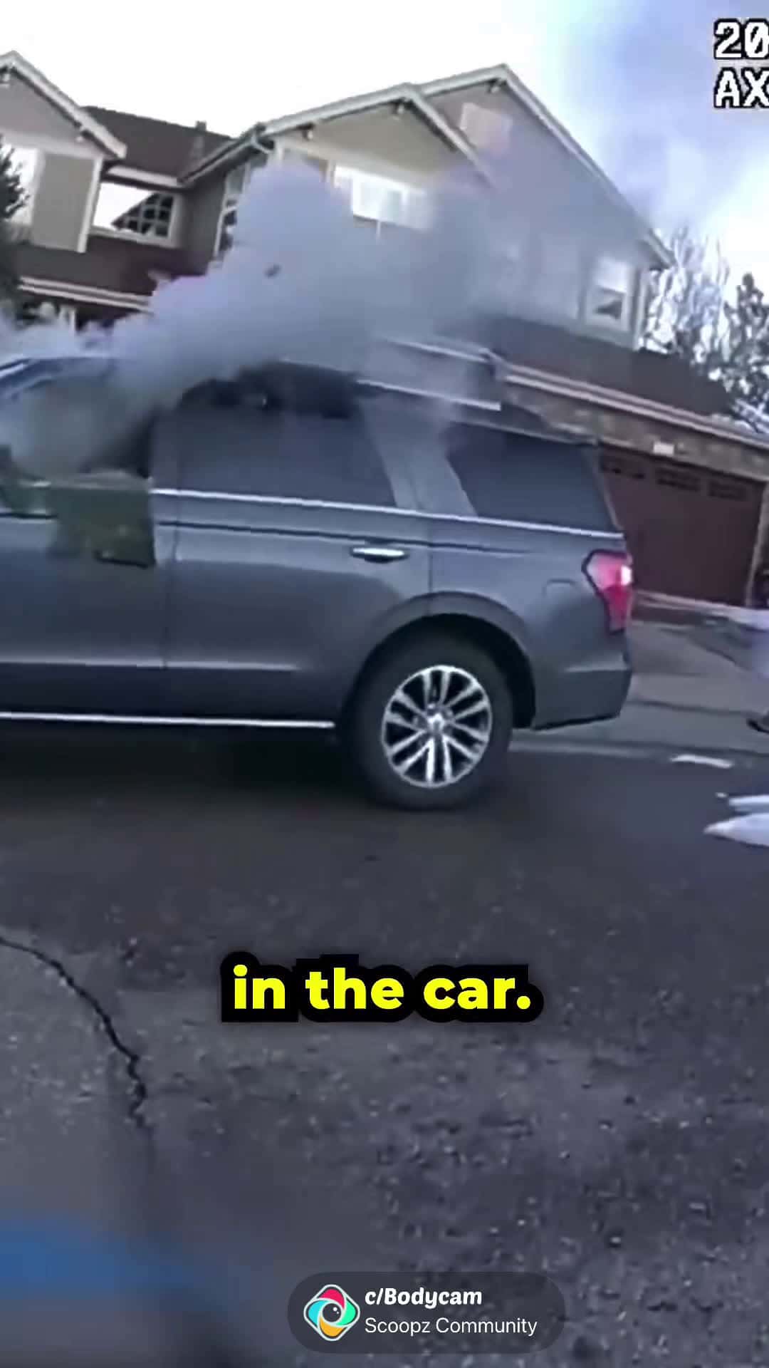 Cover for Hank, a dog, was trapped inside of a smoked up vehicle, Police on the scene smashed the windshields in order to rescue him. Amazing work.  #dog  #bodycam  #savior  #police  #fyp
