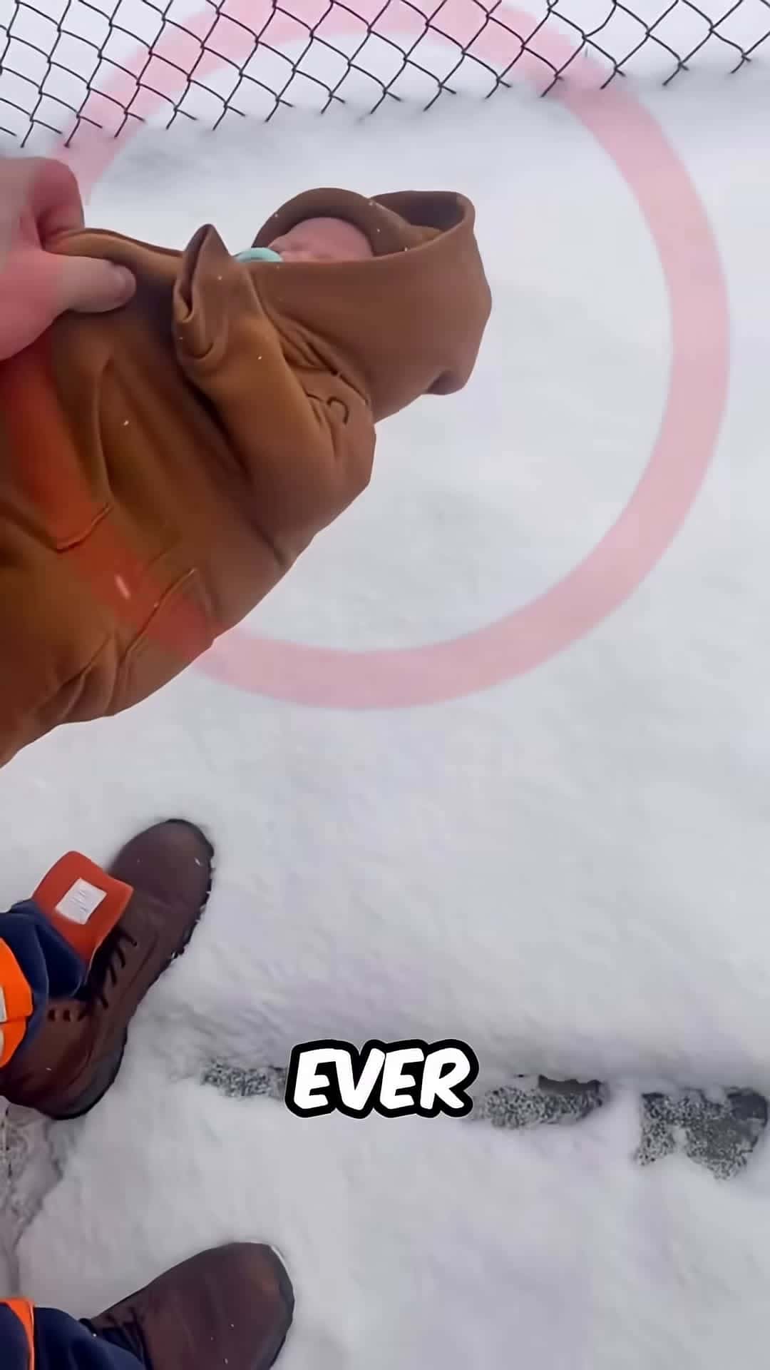 Cover for Why Babies Sleep Out In The Snow
