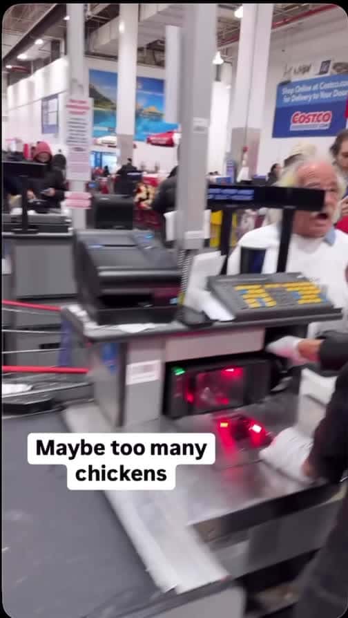 Cover for 5 LED Free Chickens Please #trending  #toofunnytoscroll  #viral  #fyp  #funnyvideos